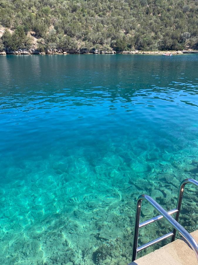 Vacation Home Viducic Dragove Dış mekan fotoğraf